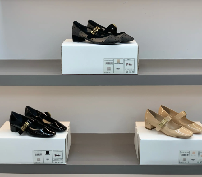 NEW UPGRADED QUALITY! DIOR Mary Jane Shoes – Timeless Elegance, Modern Sophistication (Copy)