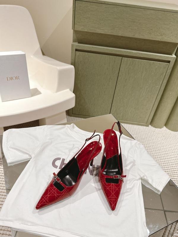 1743467029 321 Dior spring and summer new high electric heels at the