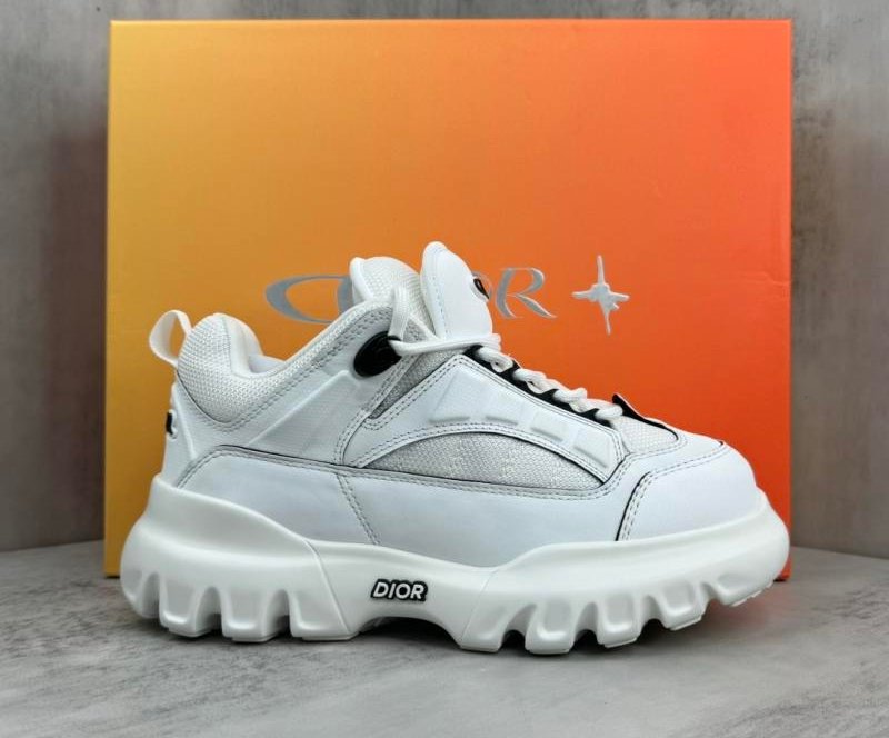 Dior x Hamilton co-marquée relaxed sports shoes