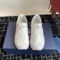 Dior B30 series chick